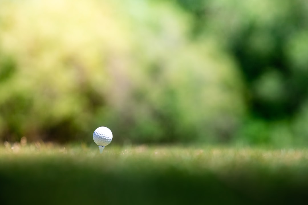 Golf Tee Guide 2026: How the Right Tee Adds Yards Off Every Drive